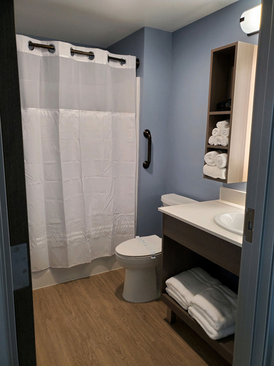 Bathroom 5, Salish Inn, Skagit