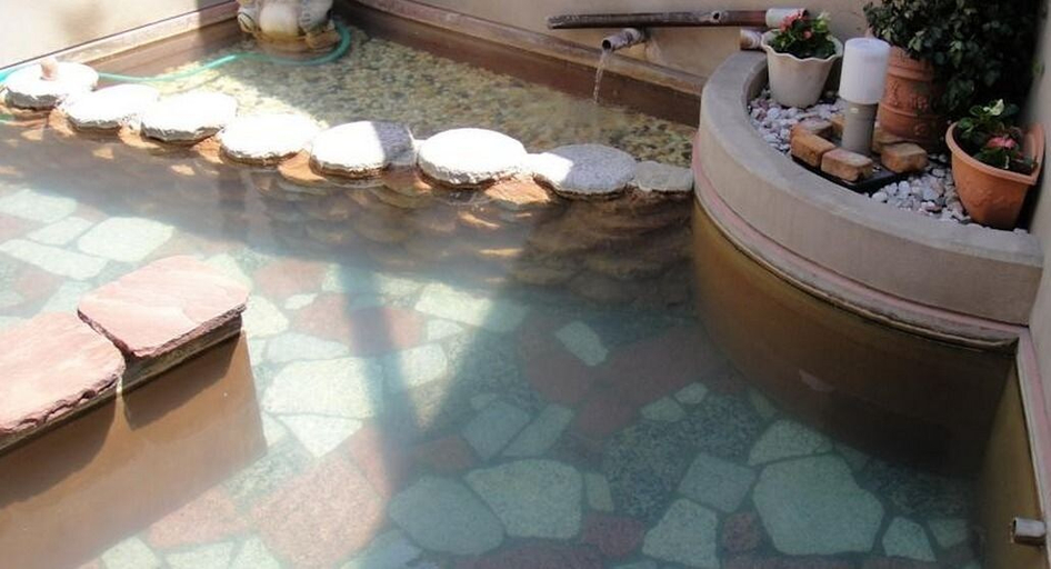 Sport & Beauty 5, Daimaruya Ryokan, Yamanouchi