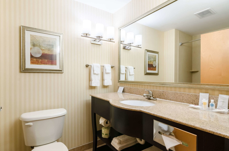 Bathroom 4, Comfort Suites Salina South, Saline
