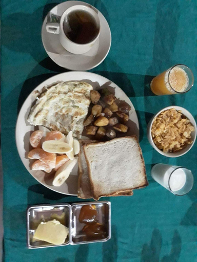 Food & Drinks 5, Tiger Residency Resort, Narayani