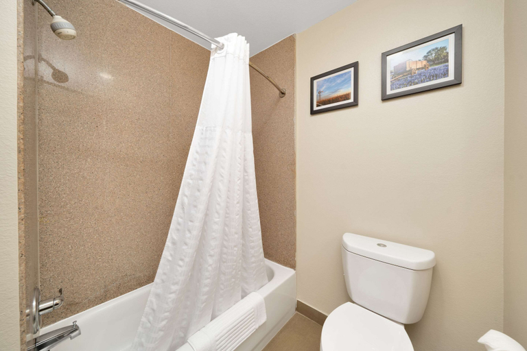 Bathroom 4, Comfort Suites University, Taylor