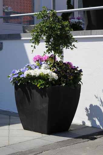Others 5, Hotel Coco Aps, Esbjerg
