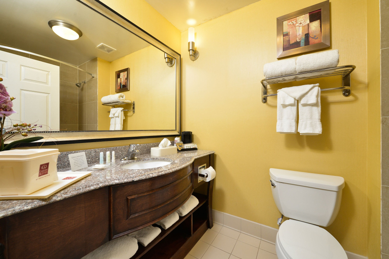 Bathroom 4, Comfort Suites Bay City East, Matagorda