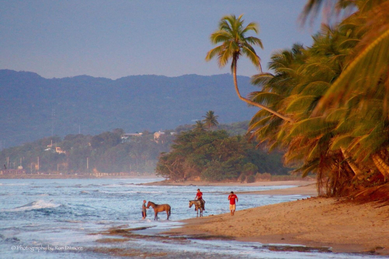 Beach 5, Wave Coast