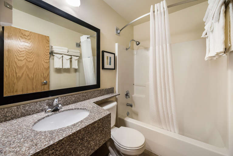 Bathroom 5, Quality Inn & Suites near NAS Fallon, Churchill