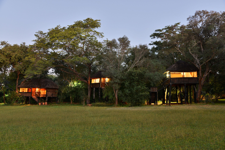 Others 5, Ivory Lodge, Hwange