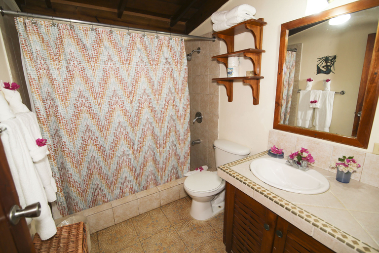 Bathroom 5, Catcha Falling Star