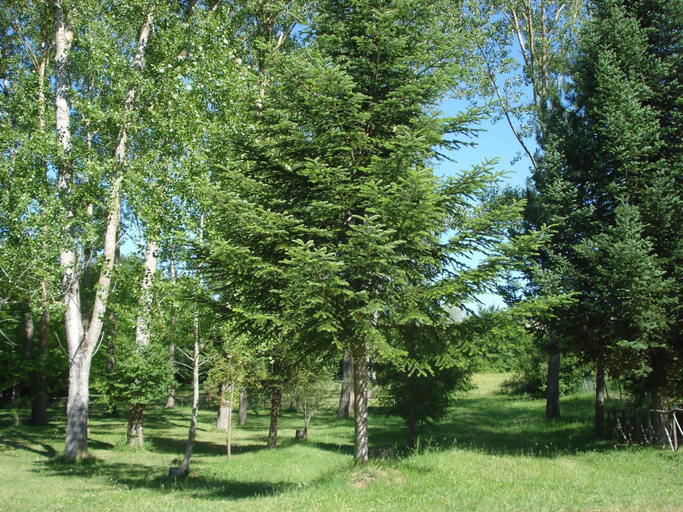 Others 5, Camping Rio Verde, Perugia