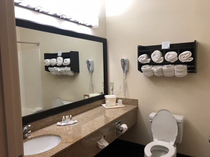 Bathroom 4, Comfort Suites Stevensville - St. Joseph, Berrien