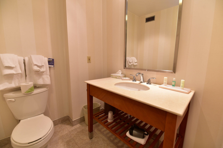 Bathroom 4, Quality Inn and Conference Centre, Renfrew