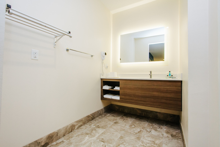 Bathroom 4, Palace Inn City Center, Houston