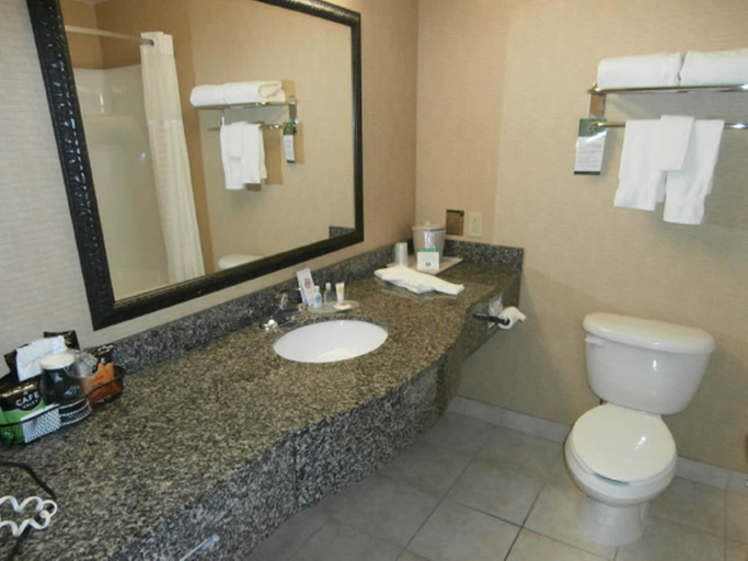 Bathroom 4, Comfort Inn & Suites Grinnell near I-80, Poweshiek