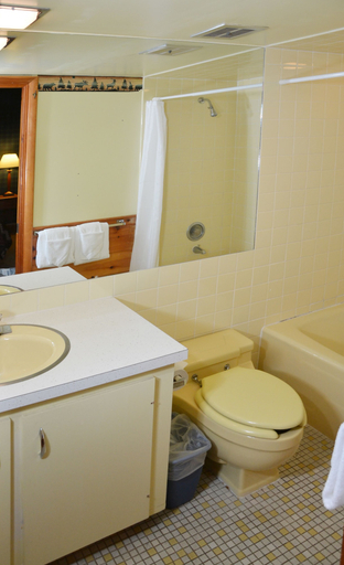 Bathroom 4, Birchwood Inn, Emmet