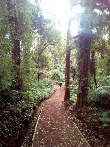 Others 5, kilnopark hotel machame, Hai