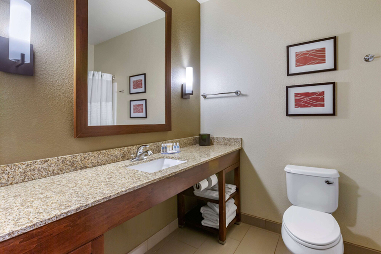Bathroom 4, Comfort Inn & Suites Near Mt. Rushmore, Pennington