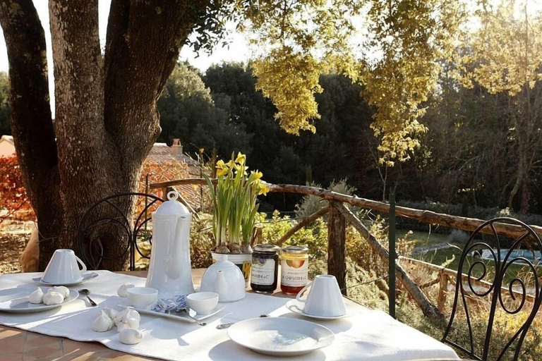 Food & Drinks 5, Pian delle More, Livorno
