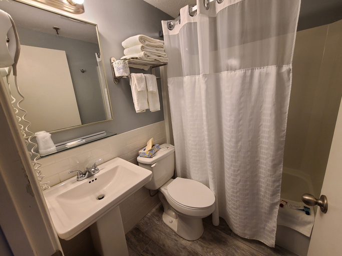 Bathroom 3, Hampton Village Inn, Rockingham