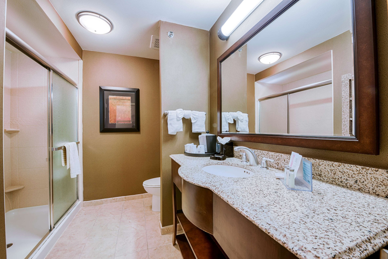 Bathroom, Hampton Inn & Suites Pinedale, Sublette