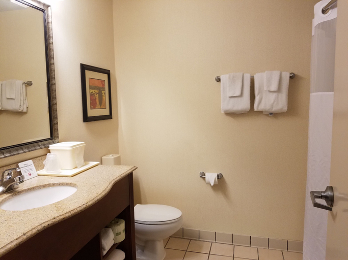 Bathroom 3, Quality Suites Paducah I-24, McCracken