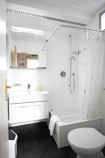 Bathroom 5, Hotel Brandl, Unterallgäu