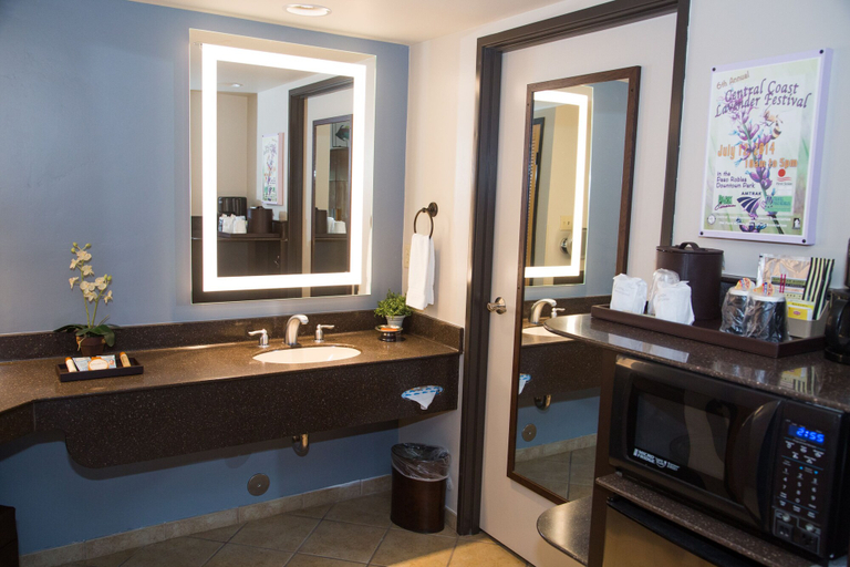 Bathroom 3, Adelaide Inn, San Luis Obispo