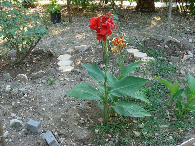 Others 4, Villa Galini, Ionian Islands