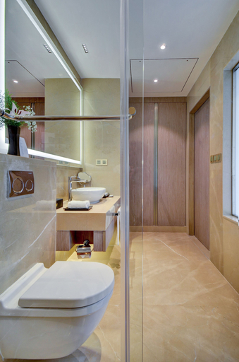 Bathroom 4, Vividus, Bangalore