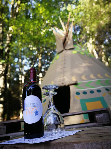 Food & Drinks 4, Magical Teepee Experience Hogsback - Glamping, Amathole