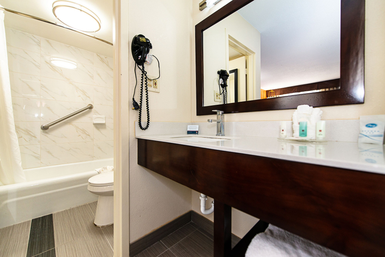 Bathroom 5, New Hope Inn & Suites, Bucks