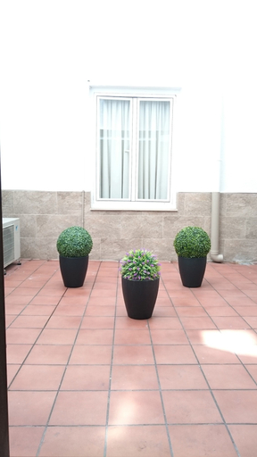 Others 5, Hostal El Pilar, Madrid