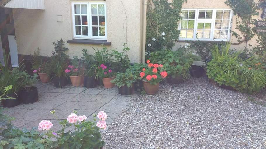 Exterior & Views 2, Brambles Bed and Breakfast, Devon
