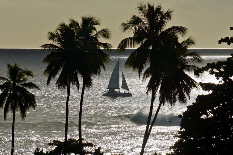 Beach 4, Wave Coast