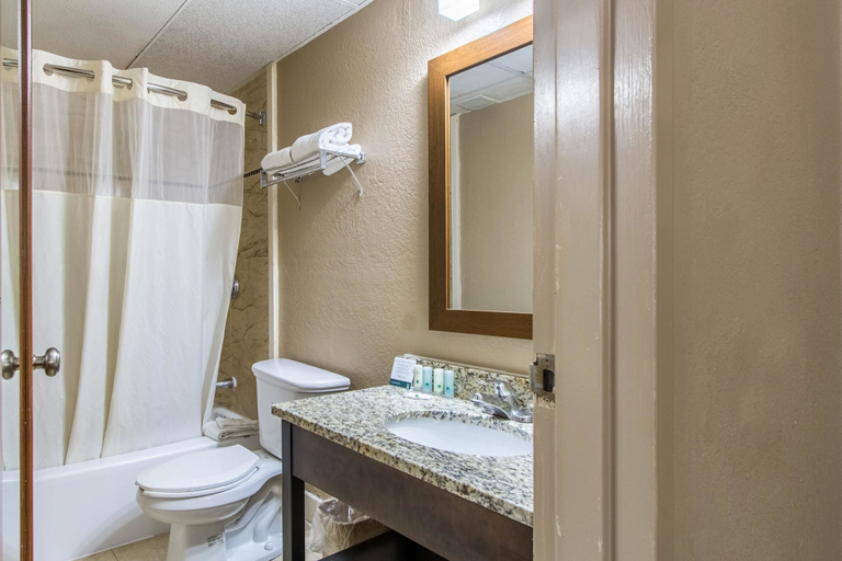 Bathroom 4, GreenRidge Hotel, Lake
