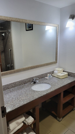 Bathroom 4, Comfort Suites Macon Northwest, Bibb