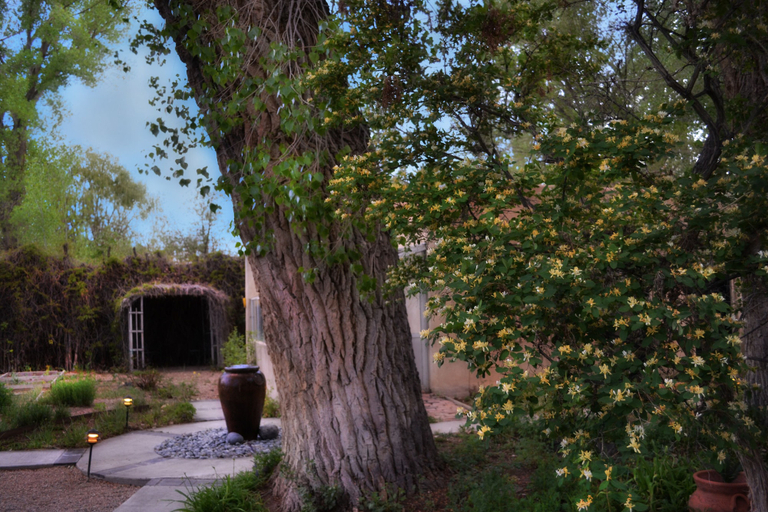 Others 5, Palacio De Marquesa, Taos