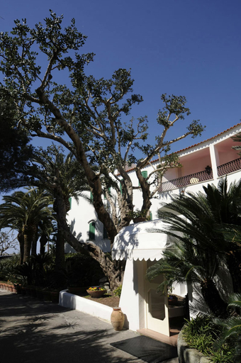 Exterior & Views 2, Hotel Parco Maria Terme, Napoli