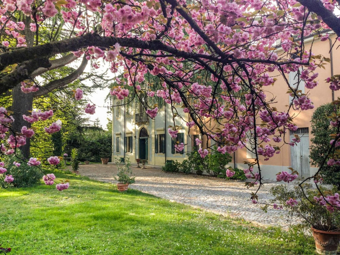 Exterior & Views 2, Corte Finzi, Parma