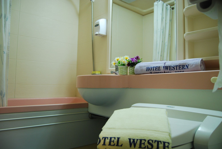 Bathroom 4, Western Hotel, Gunsan