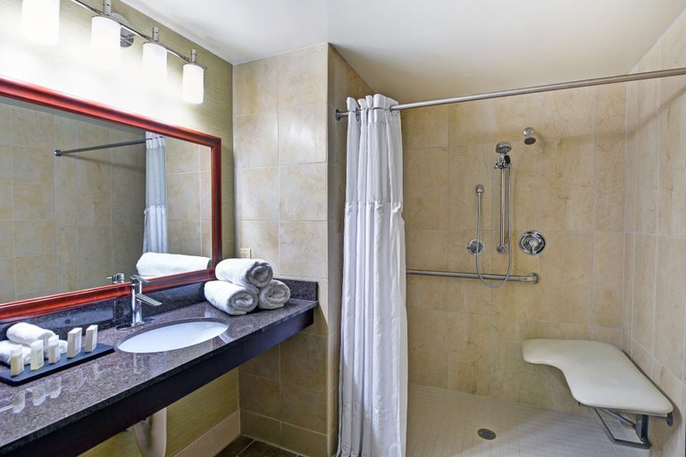 Bathroom 4, Embassy Suites by Hilton Valencia, Los Angeles