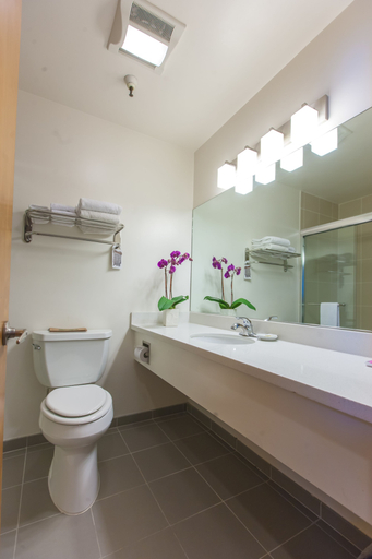 Bathroom 4, Grant Plaza Hotel, San Francisco