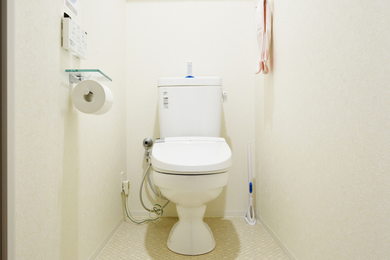 Bathroom 2, Crystal Exe Nippombashi 406, Osaka