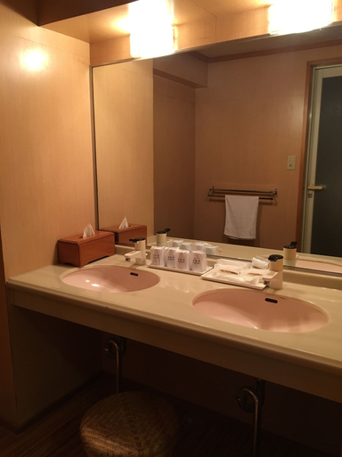 Bathroom 4, Ibusuki Seaside Hotel, Ibusuki