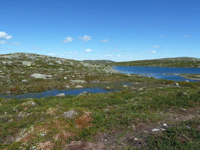 Others 4, Furulie Cabin - Flå, Flå