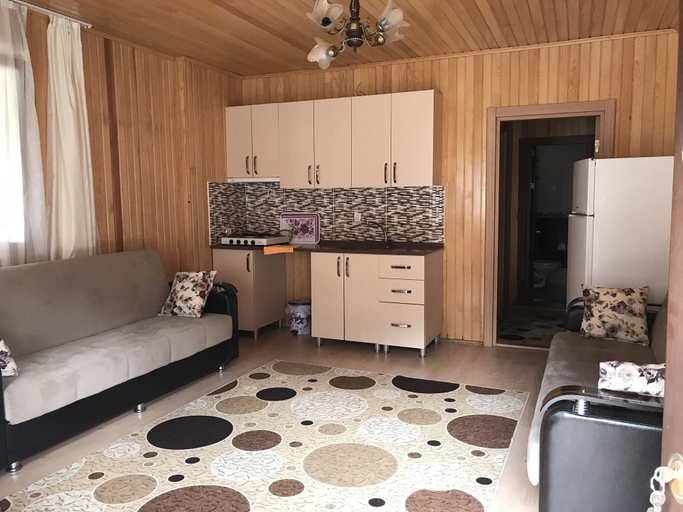 Living area 4, Hanzade Apart 2, Çaykara