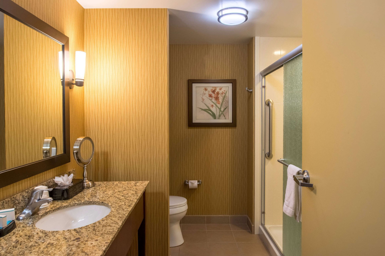 Bathroom 4, Hampton Inn & Suites Boulder-North, Boulder