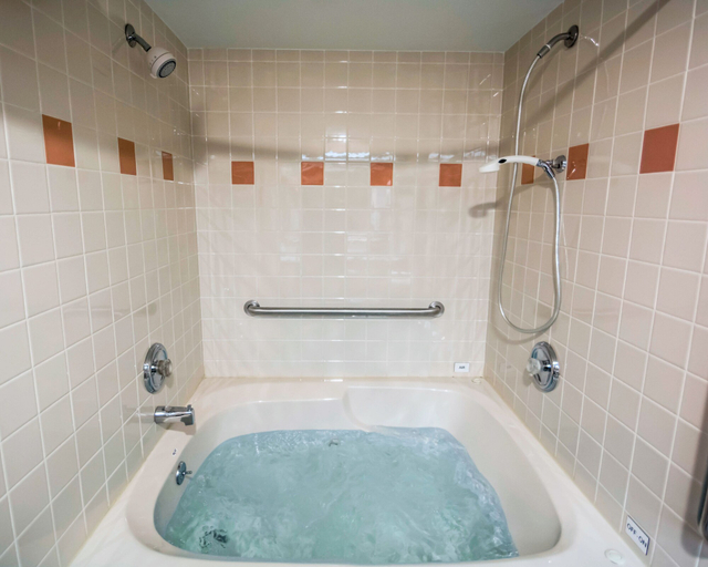 Bathroom 4, Comfort Inn - NYS Fairgrounds, Onondaga