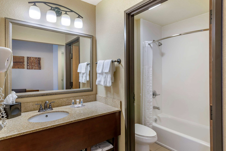Bathroom 4, Comfort Inn & Suites Blue Ridge, Fannin
