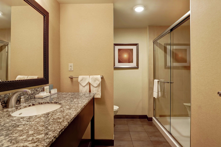 Bathroom 4, Hampton Inn by Hilton Chilliwack, Fraser Valley