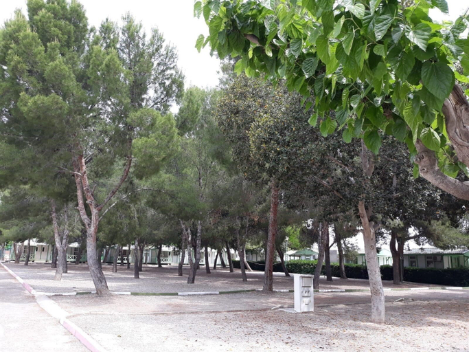 Others 5, Camping La Paz, Murcia