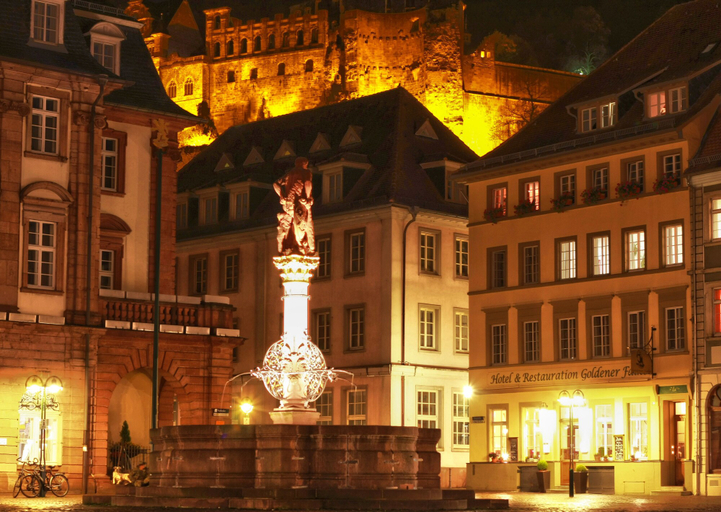 Exterior & Views 2, Goldener Falke, Heidelberg